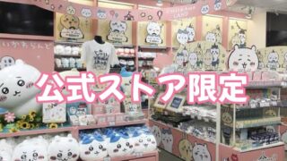 公式ストア限定